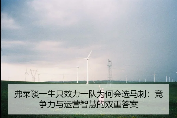 弗莱谈一生只效力一队为何会选马刺：竞争力与运营智慧的双重答案 - yabo.comapp